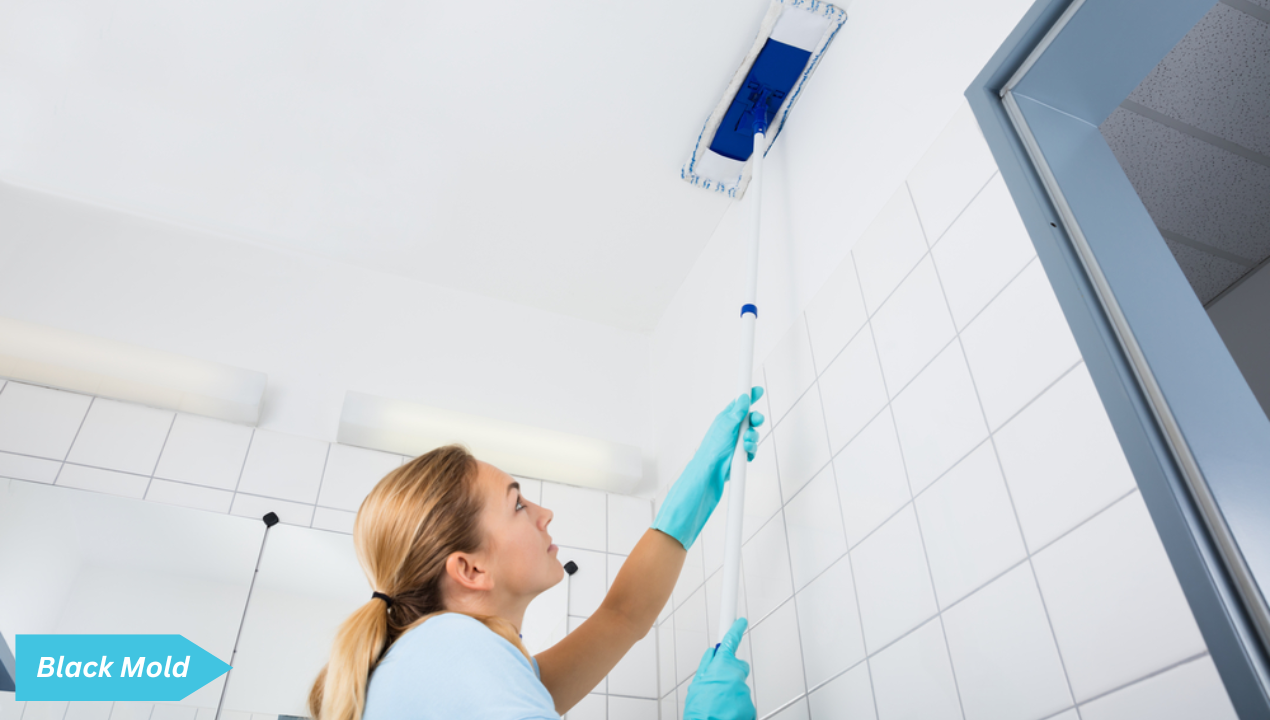 How to Remove Mold from Bathroom ceiling