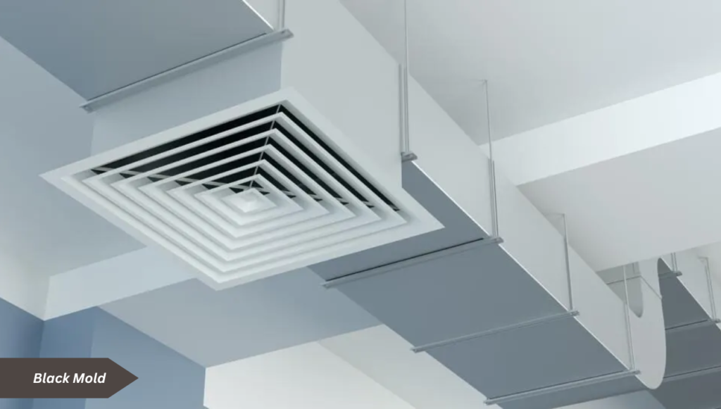 How to Remove Mold from Ductwork