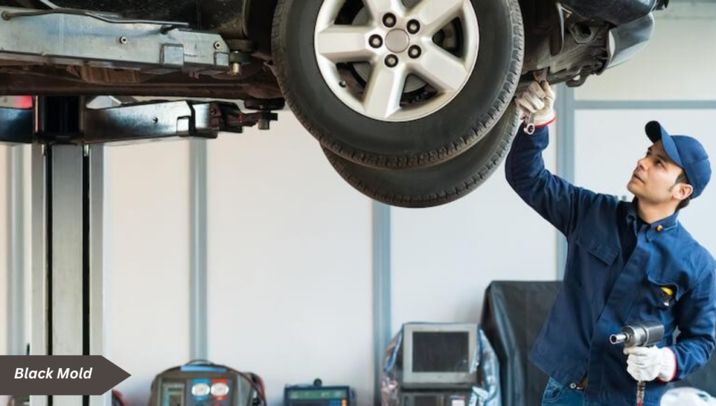 How to Remove mold from car