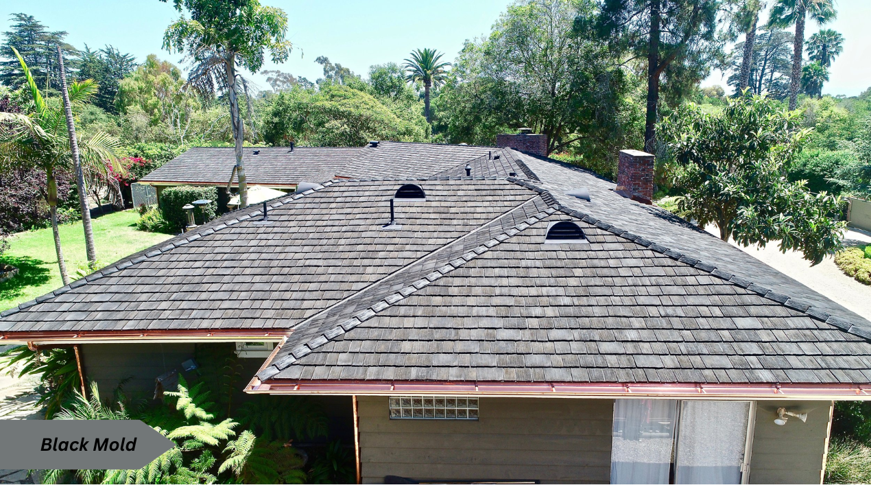 How to Remove mold from Roof shingles ?