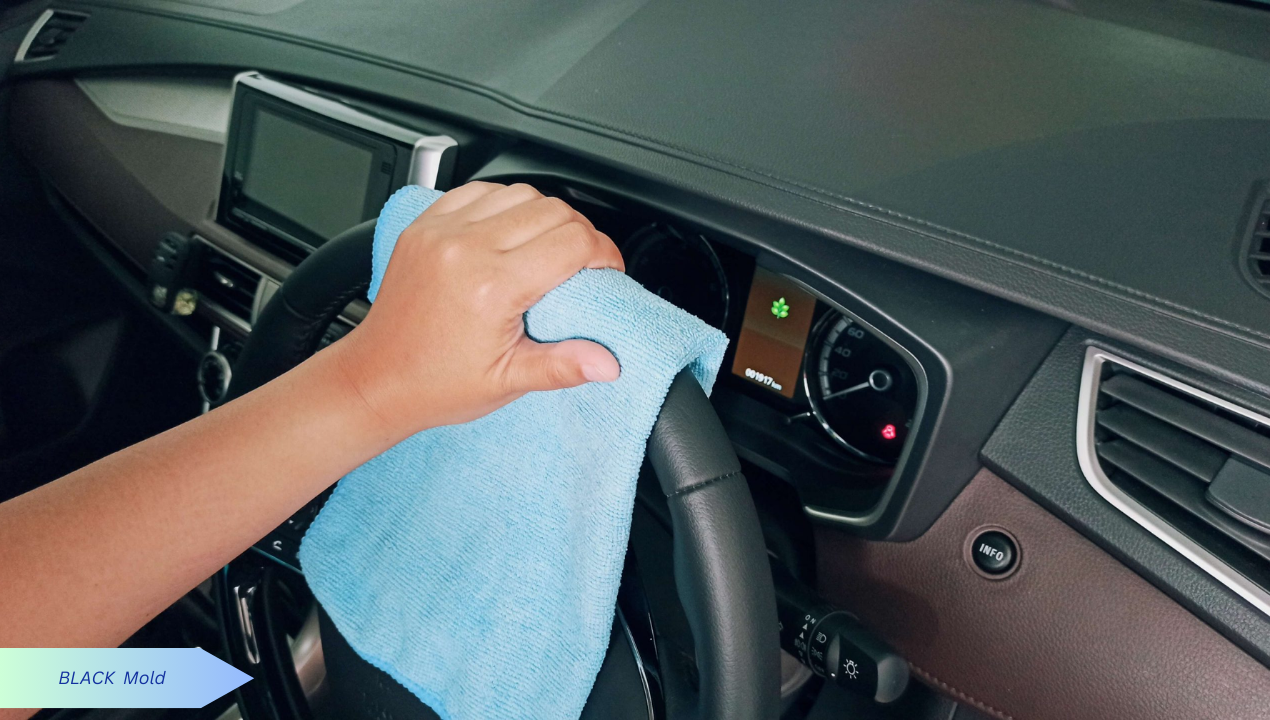 How to Remove Mold from Car interior