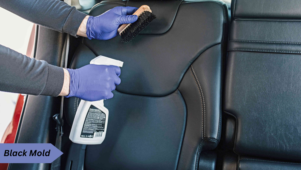 How to Remove Mold from leather Car seats