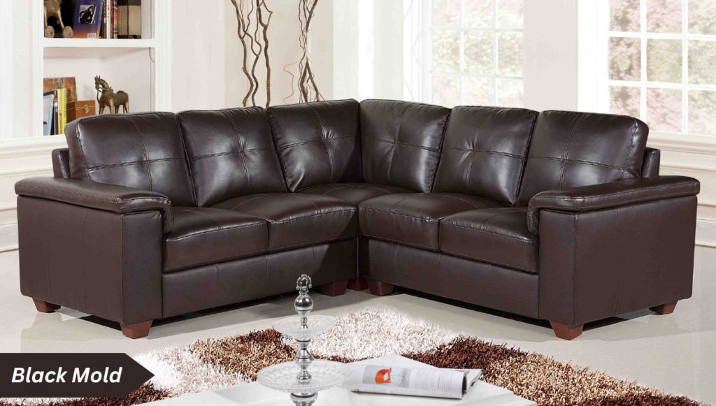 How to Remove Mold from leather furniture