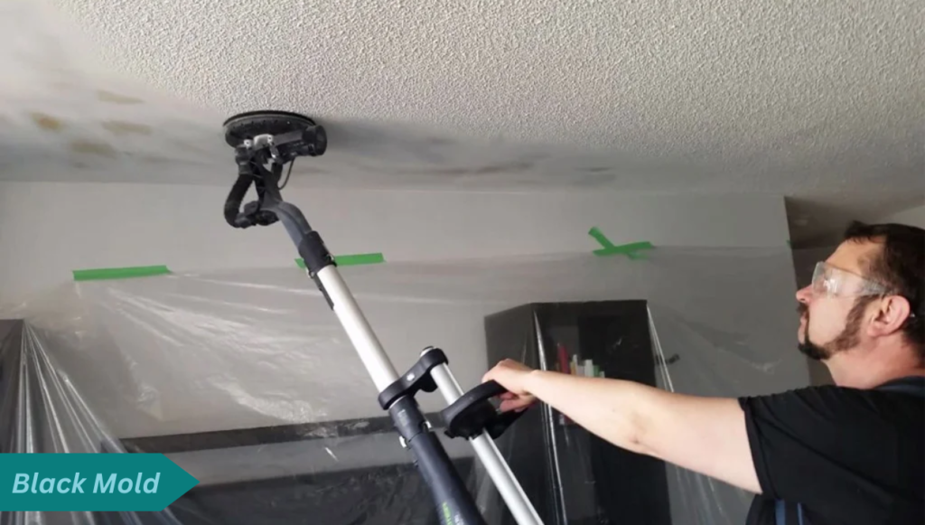 How to Remove Mold from Popcorn Ceiling