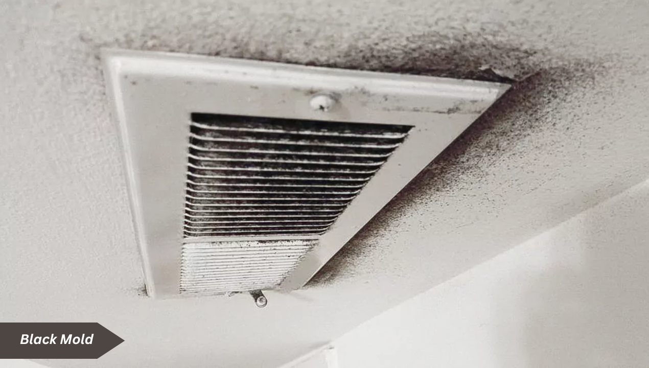 How to Remove Mold from Air Vents