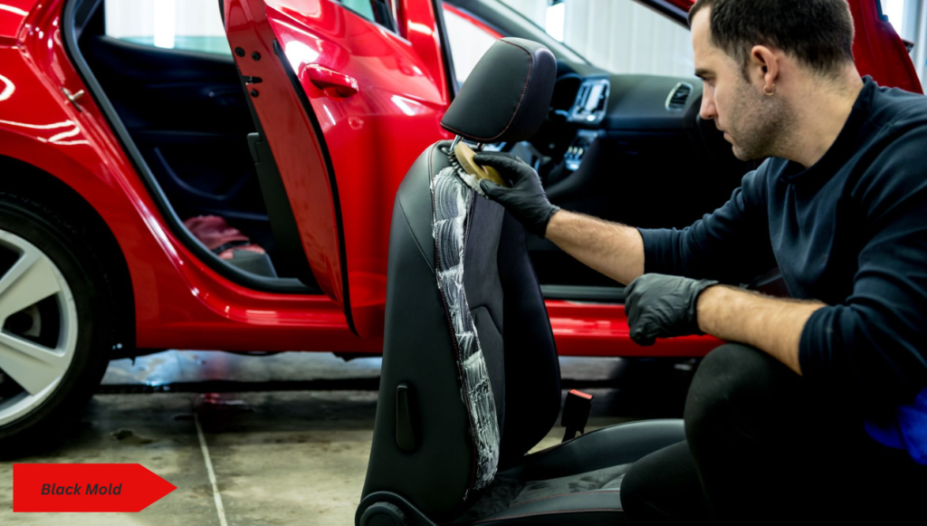 How to Remove Mold from car seat cover