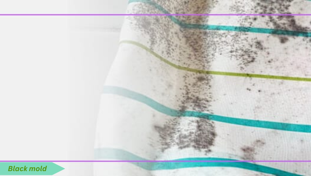 How to Remove Mold from Towels